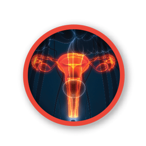 Fibroid Treatment button