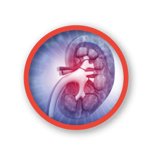 blue dialysis button